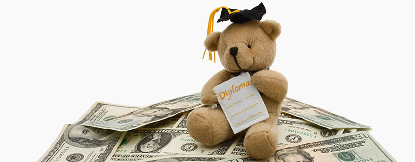 Teddy Bear Grad Diploma Money